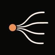 aanya logo