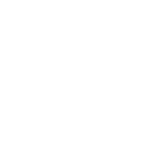 revAIser